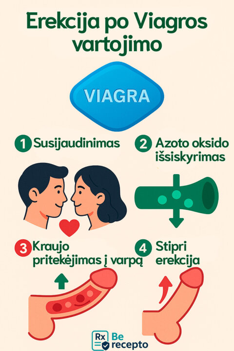 Erekcija nuo Viagros